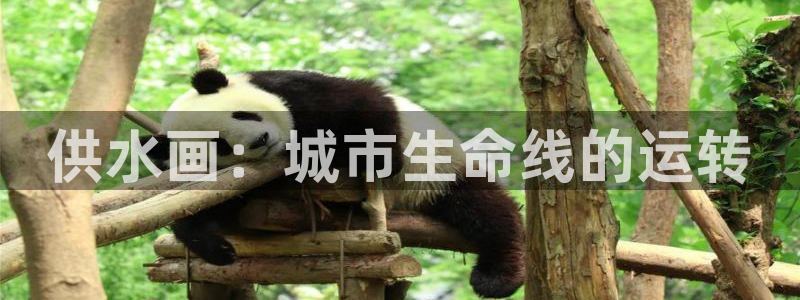 球友会体育app下载官网苹果