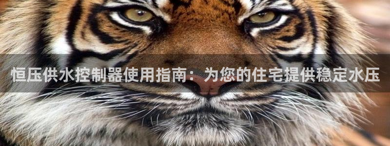 球友会娱乐