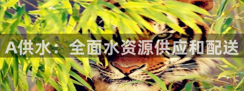 球友会拼音