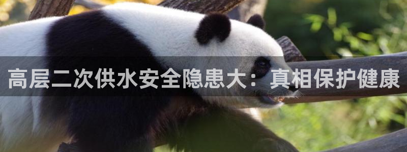 QY球友会官网