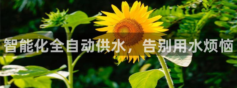 球友会FIFA22比赛是否能随机超控