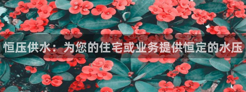 球友会骂客服封号