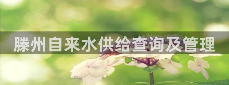 球友会台球俱乐部