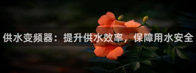 球友会app干啥的啊
