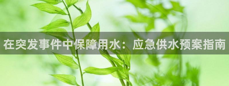 球友会官网入口