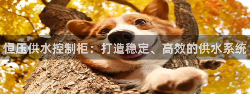 球友会曼联赛事