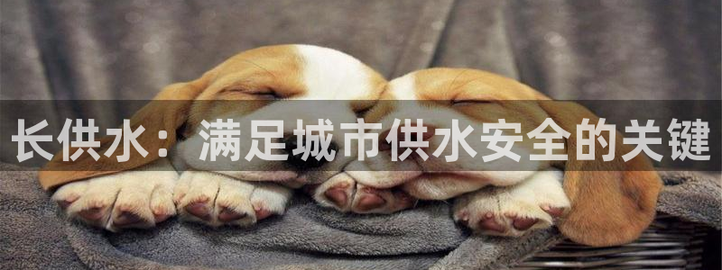 球友会提款审核中