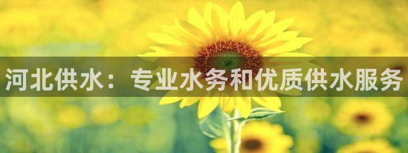 球友会提现