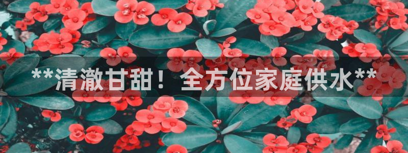 球友会提款