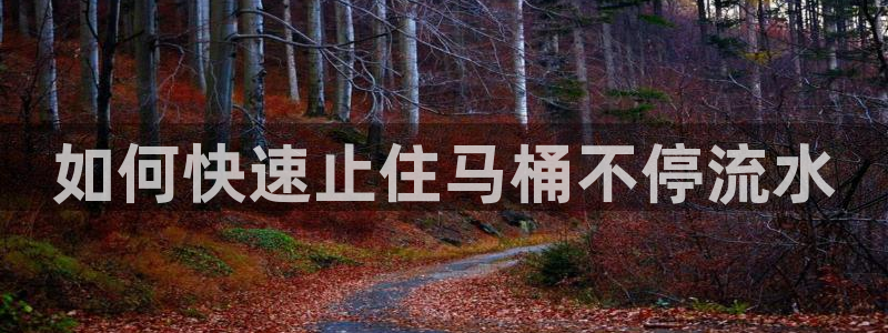 QY球友会体育官网