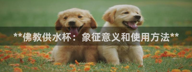 球友会体育app官方版下载安装