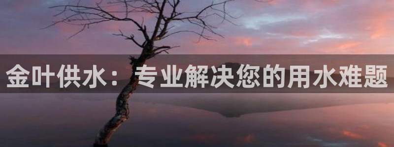 球友会地址