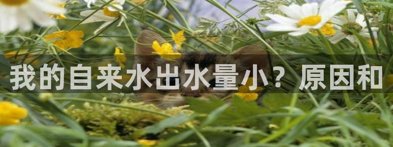 球友会审核