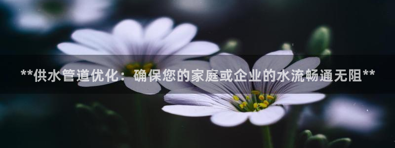 球友会体育app下载安卓手机