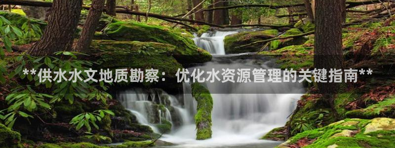 qy球友会体育官方平台