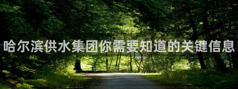 球友会体育app官方版下载安装苹果手机