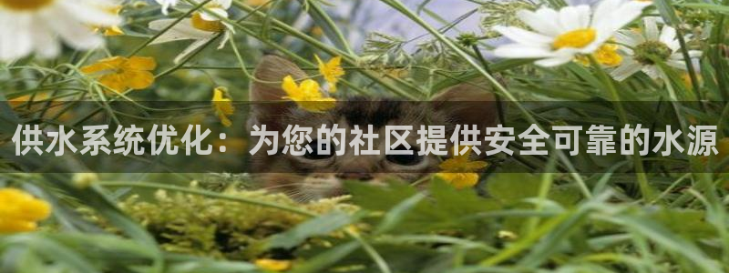 球友会网站多少钱一个