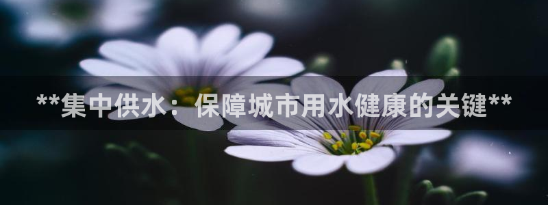 球友会app干啥的软件