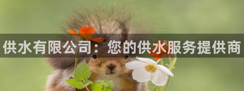 球友会官网入口在哪里
