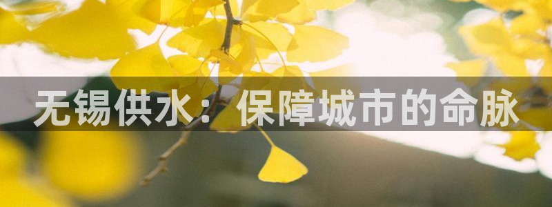 球友会台球俱乐部官网