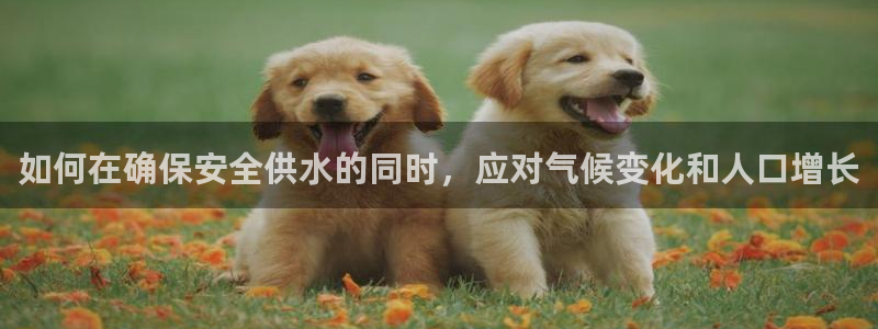 球友会台球俱乐部