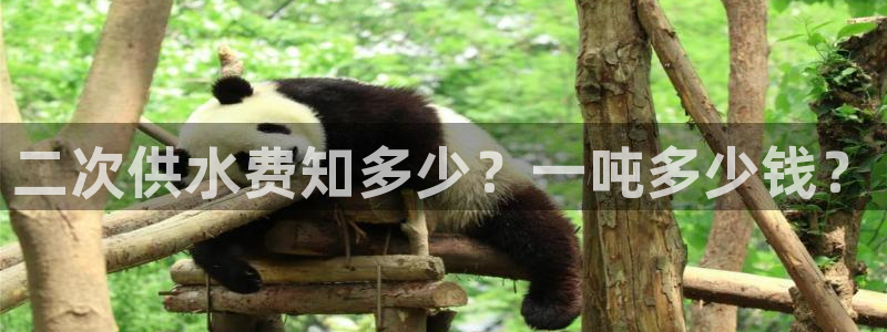 球友会比尔森胜利塔波斯科