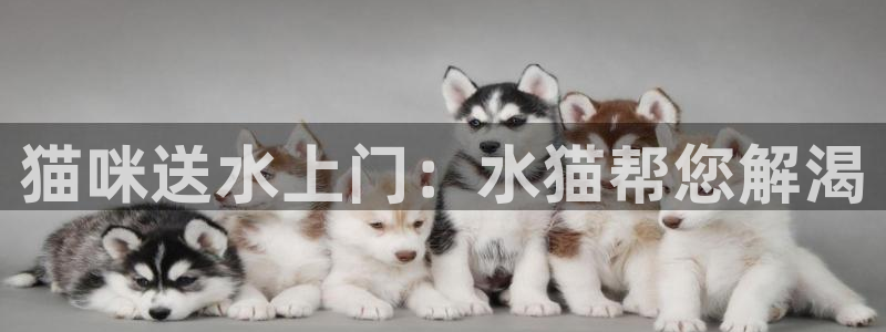 球友会apy