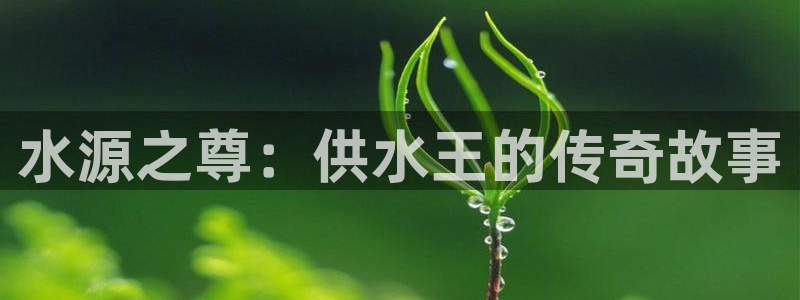 qy球友会体育(中国)官方网站
