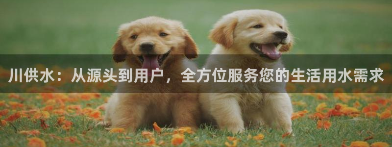 球友会体育app官方版下载安装最新