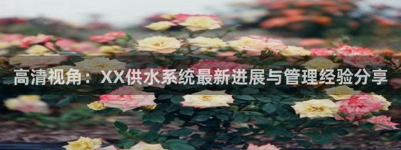 球友会官网入口在哪里