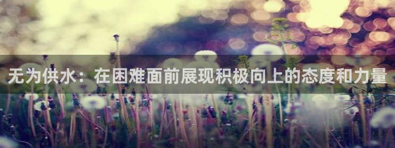 球友会提款审核中