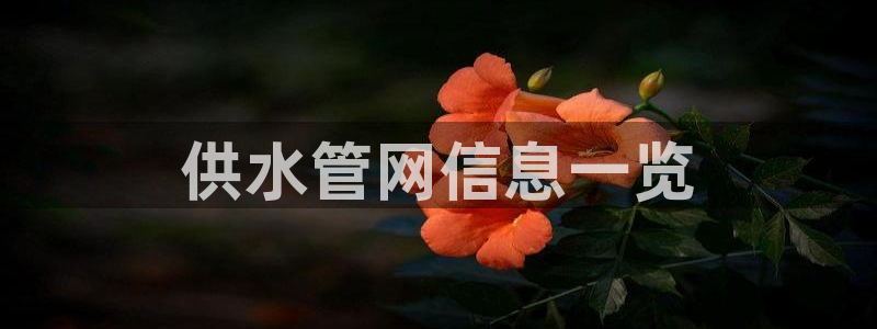 球友会聚餐发言简短