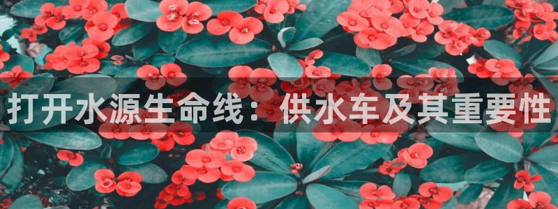 球友会链接