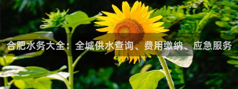 球友会的会字是哪个会