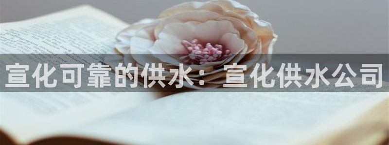 球友会是什么