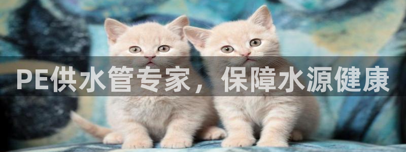 球友会聚餐发言简短