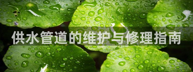 球友会app官网下载安装