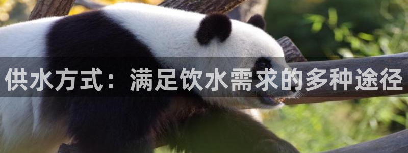 qy球友会体育