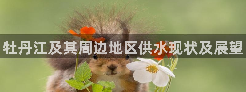 球友会赛程