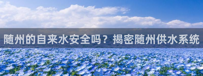 球友会logo