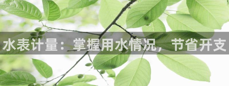 球友会体育app下载安卓版