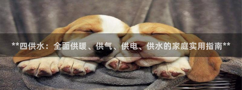 球友会比尔森胜利塔波斯科