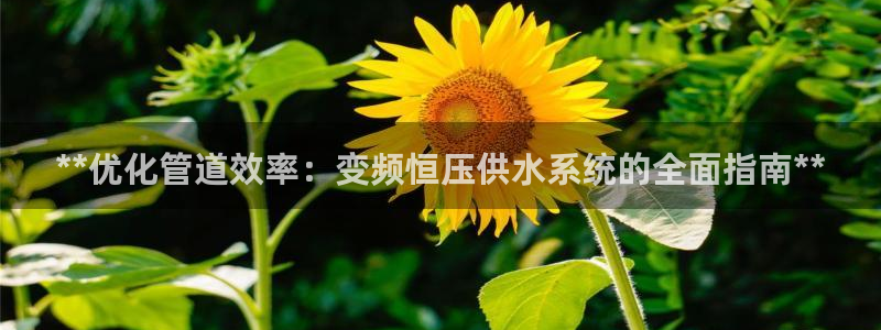 球友会官网入口在哪里