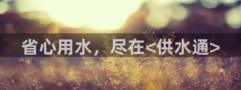 QY球友会体育官网