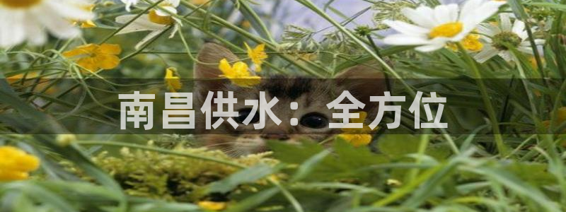 球友会比赛结果查询官网