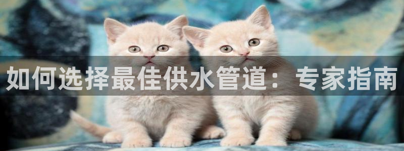 球友会破解码