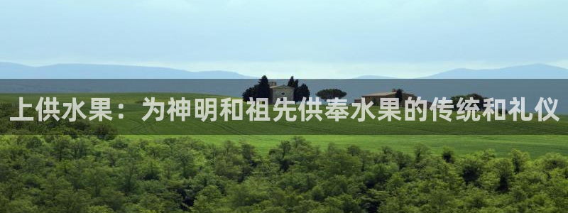 球友会审核