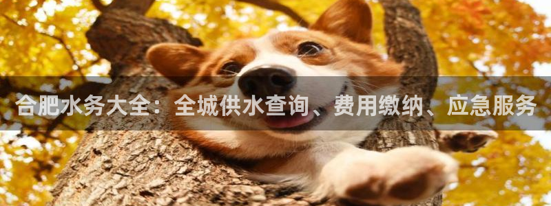 球友会拼音