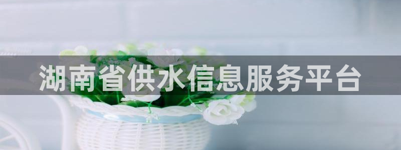 球友会QY