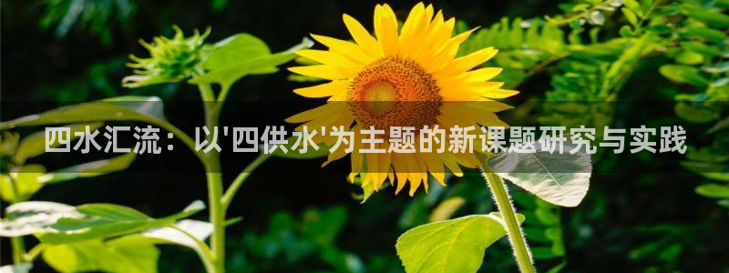 球友会曼联赛事